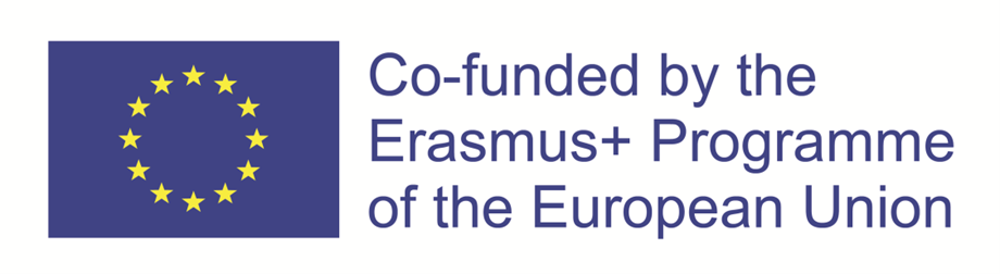 Cofunded_Erasmus.png