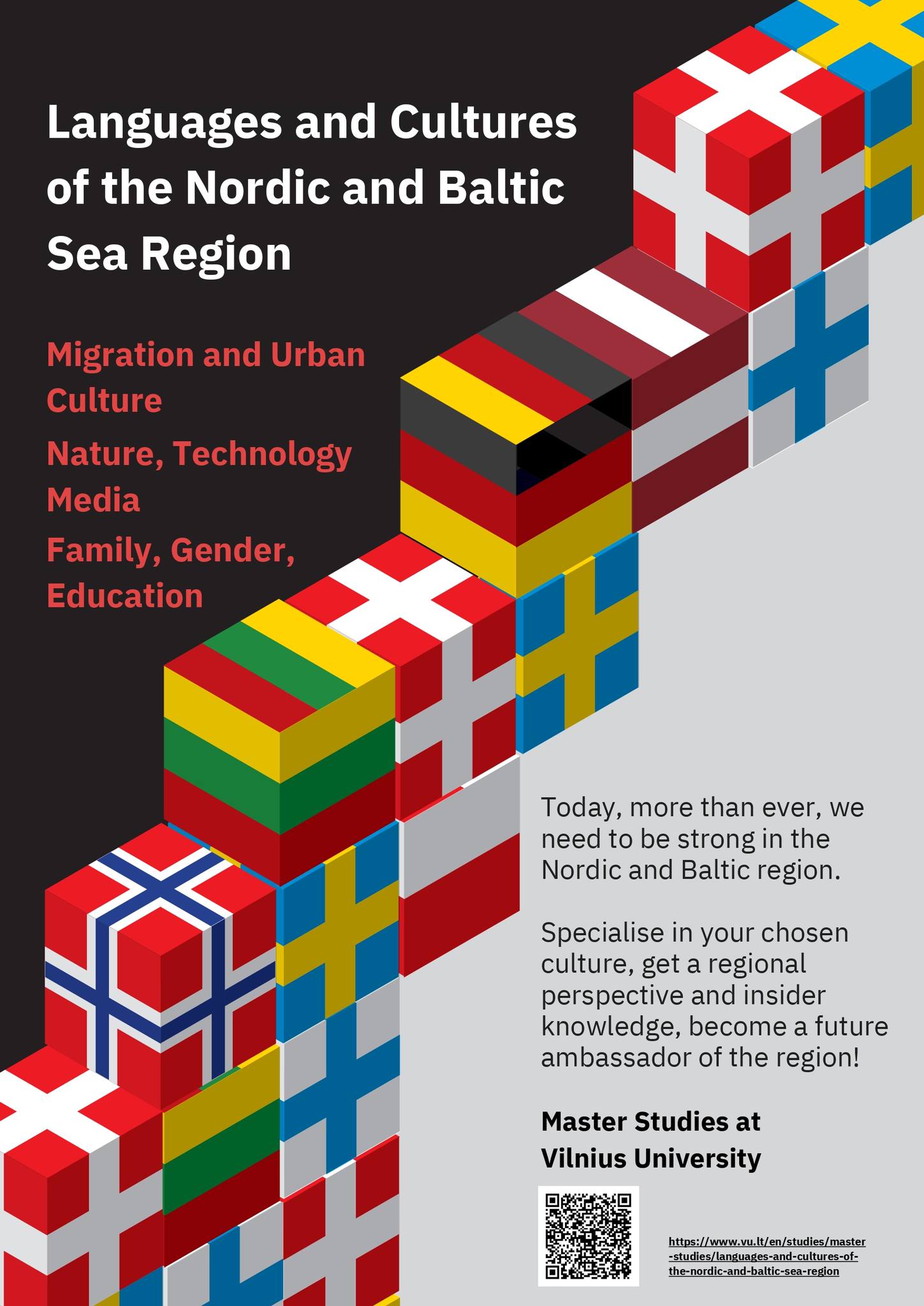 Nordic and Baltic Masters Studies at Vilnius University poster